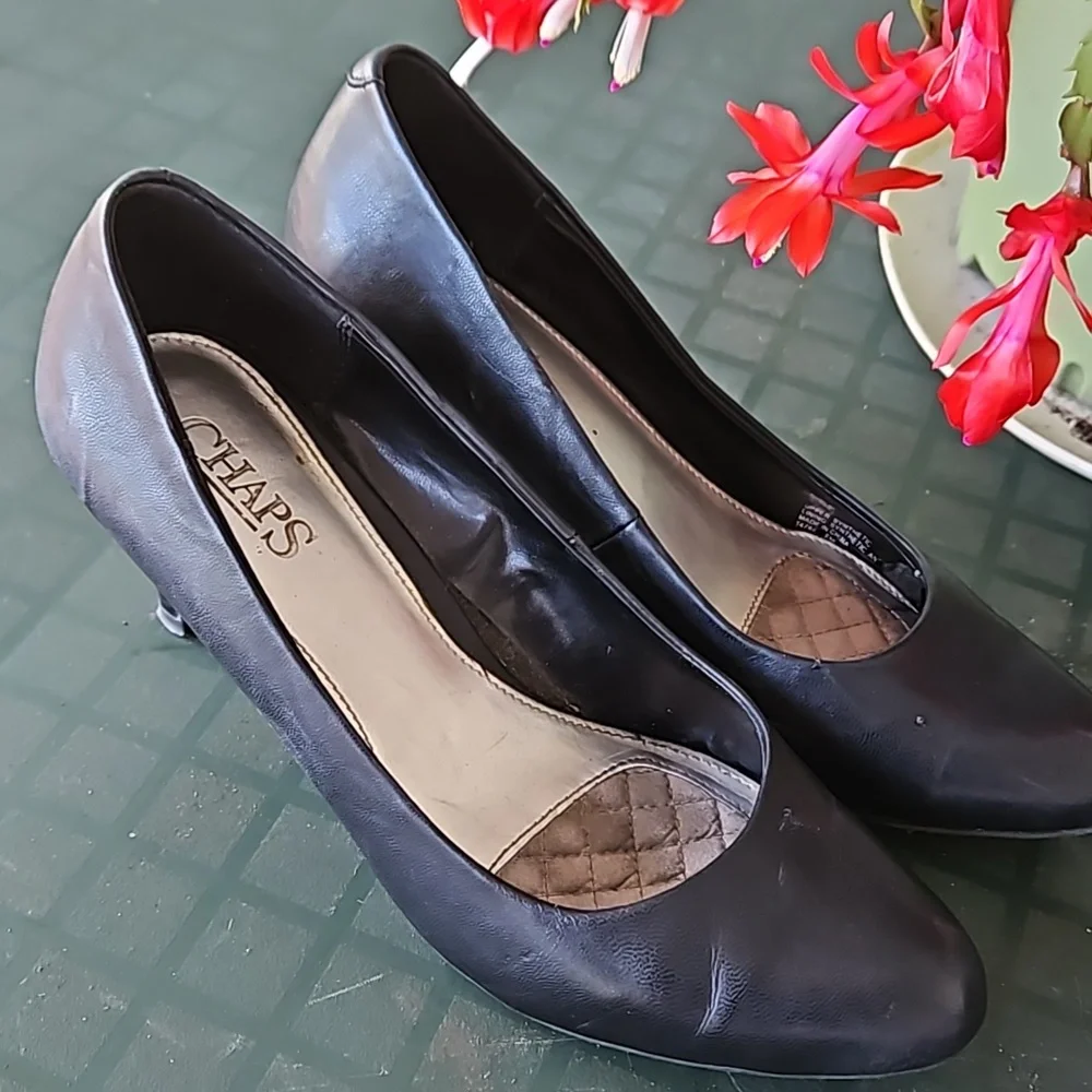 Pumps - Picture 6 of 8